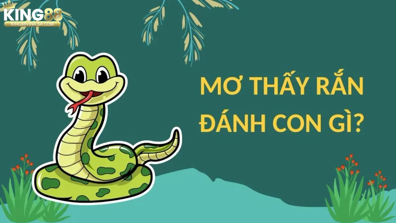 ung-dung-giac-mo-thay-ran-trong-ca-cuoc-truc-tuyen Ứng dụng giấc mơ thấy rắn trong cá cược trực tuyến